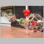 T4_04_CE_Chromosoma_IMG_2942k.jpg