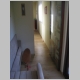 84_Narrow_House_03_k1.jpg